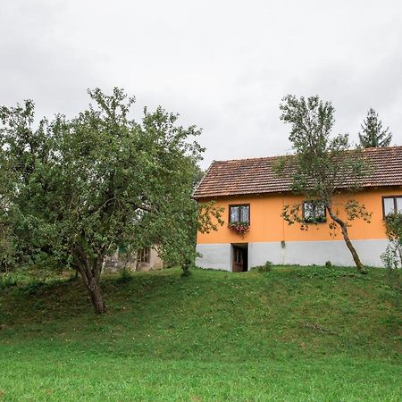 Appartamento Kuca Za Odmor Jagnjic Josipdol Esterno foto