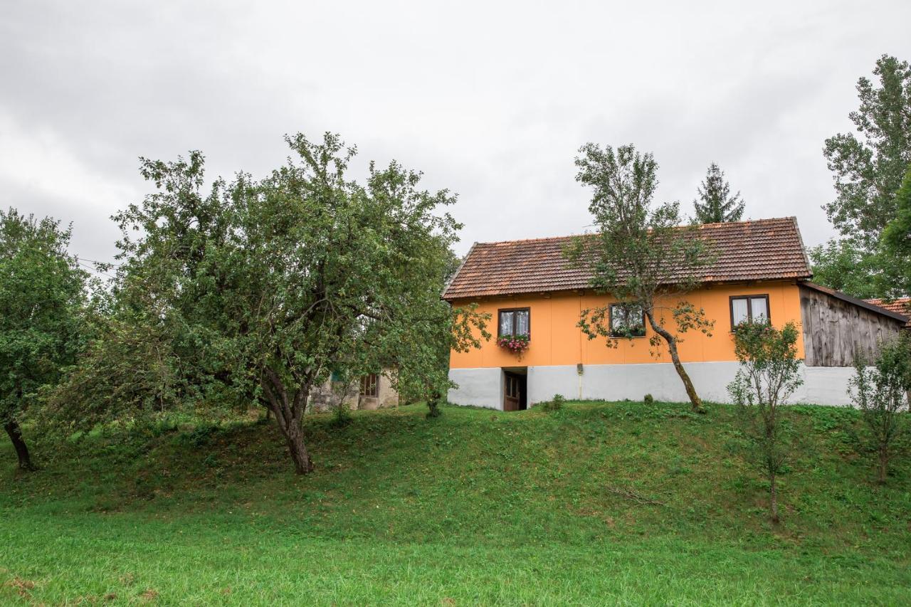 Appartamento Kuca Za Odmor Jagnjic Josipdol Esterno foto