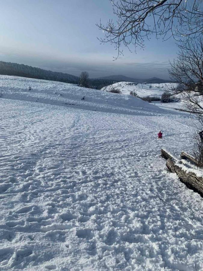 Appartamento Kuca Za Odmor Jagnjic Josipdol Esterno foto