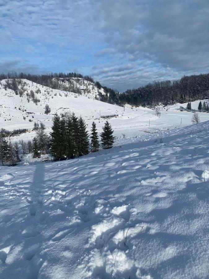 Appartamento Kuca Za Odmor Jagnjic Josipdol Esterno foto